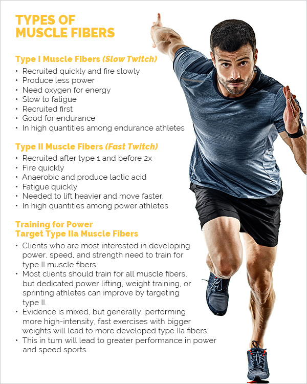 Type IIa Muscle Fibers: Training for Explosiveness