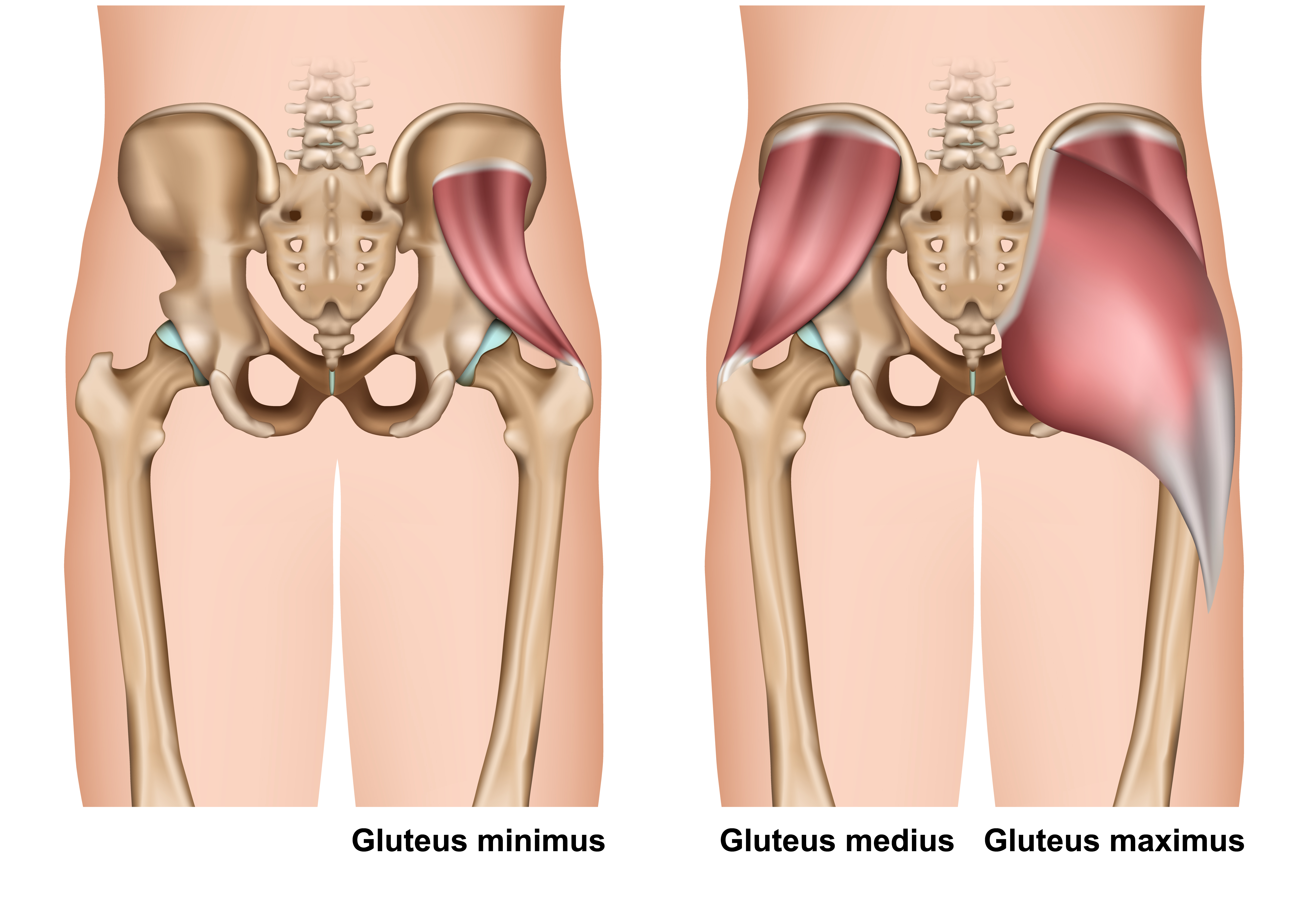 blog-issa-glutes